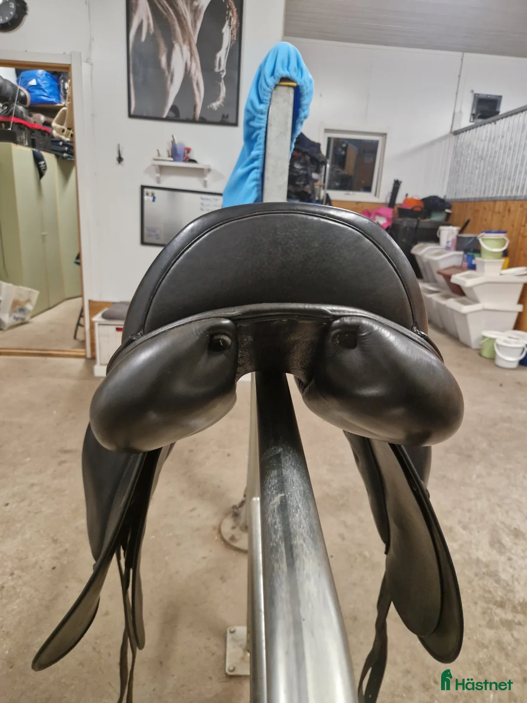 Sadlar hästutrustning till salu: Lippo Azzario  i Båstad - Annons 3