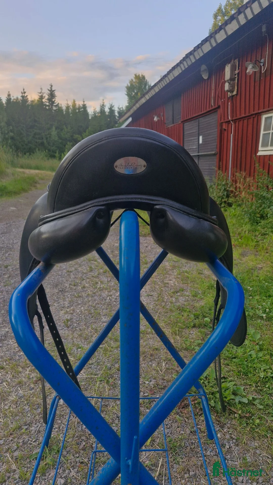Sadlar hästutrustning till salu: Santa Cruz dressyrsadel - Annons 2