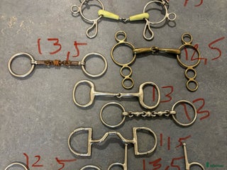 Bett hästutrustning till salu: Billiga bett i Grödinge - Annons 18