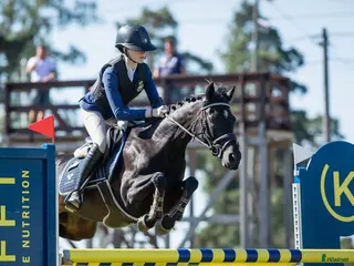 hästar En känslig och vacker c-ponny med mkt kapacitet - Annons 1