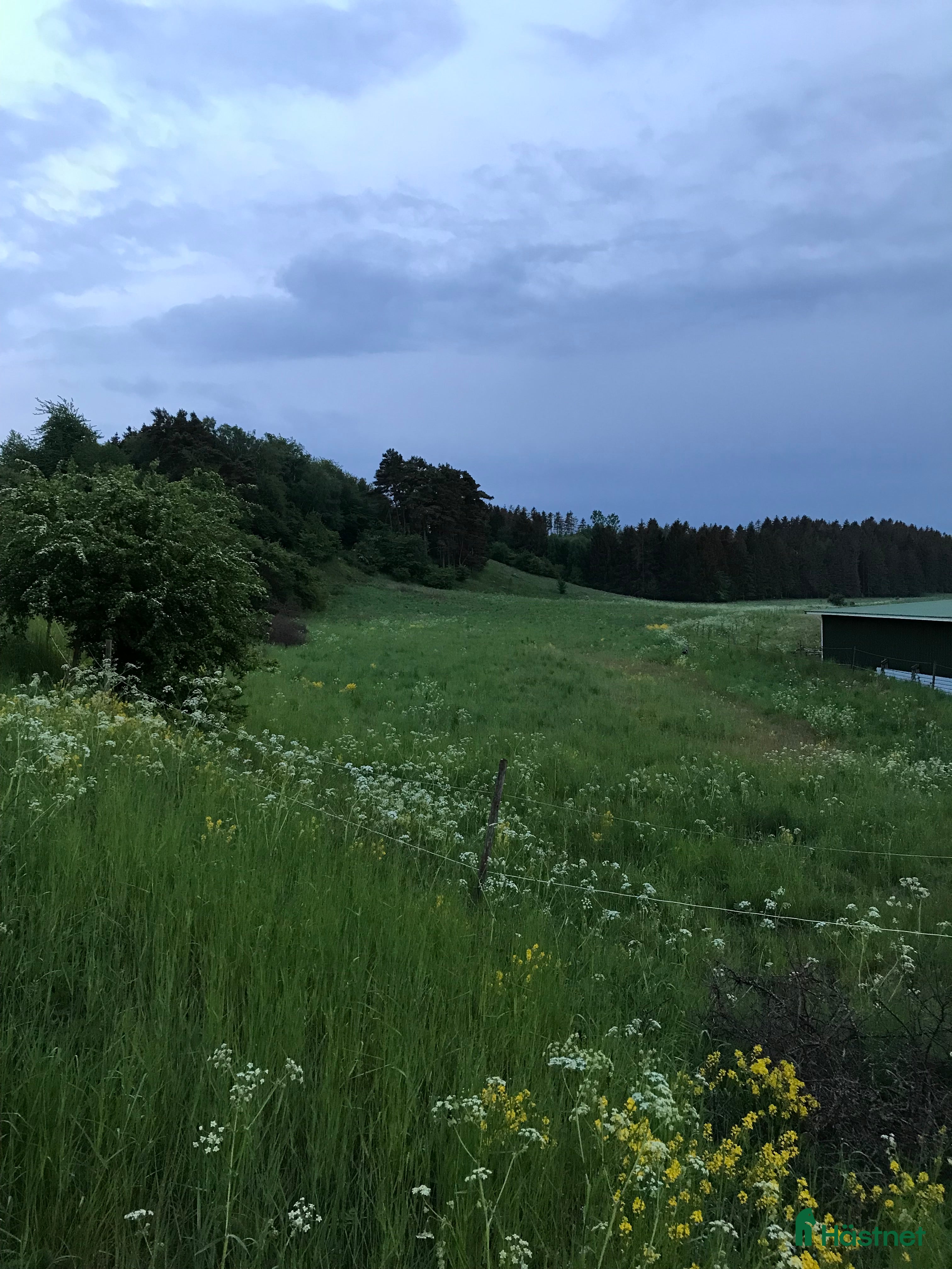  stallplats Sommarbete - Annons 2