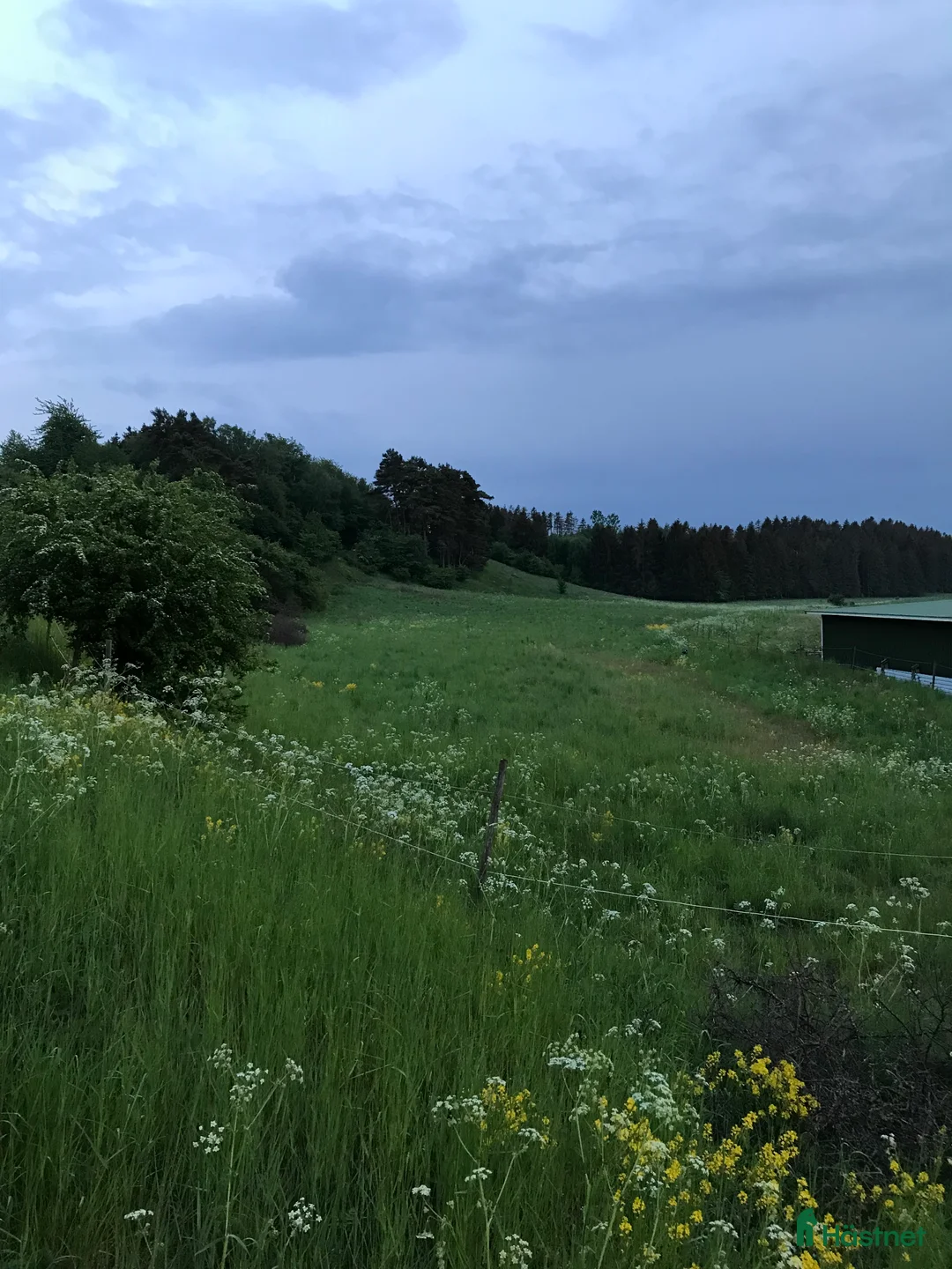  stallplats finnes: Sommarbete - Annons 1