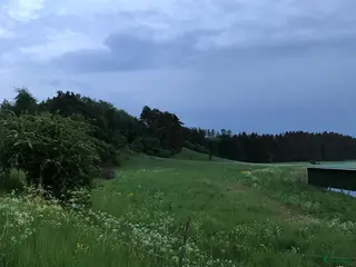 stallplats Sommarbete - Annons 2