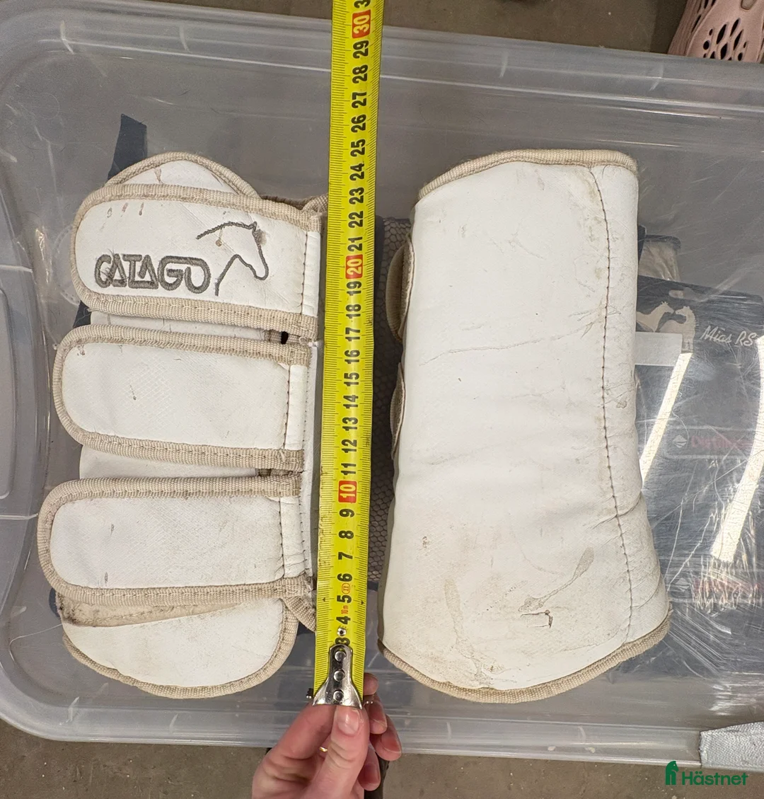 Benskydd hästutrustning till salu: Catago vita damasker i Täby - Annons 3