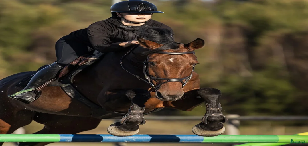 Galleribild {{count}}