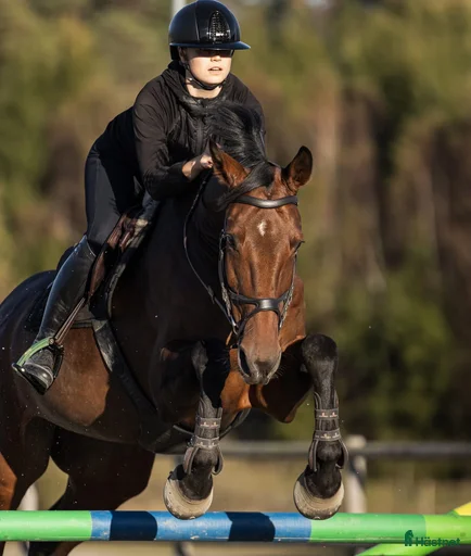 Galleribild {{count}}