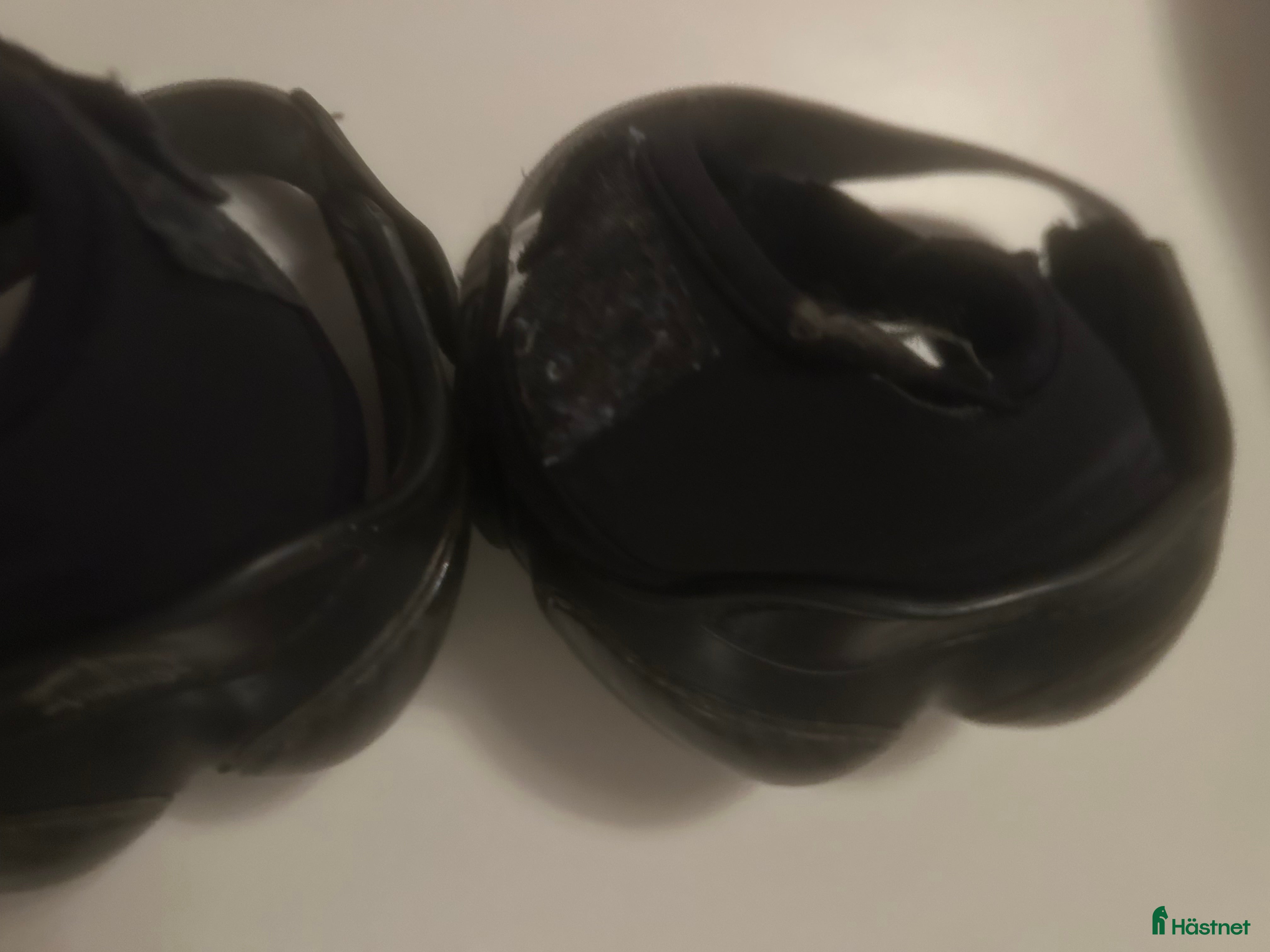 Benskydd hästutrustning till salu: Veredus boots i Hägersten - Annons 11