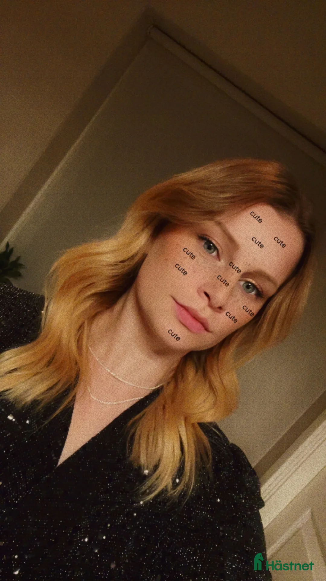 Galleribild {{count}}