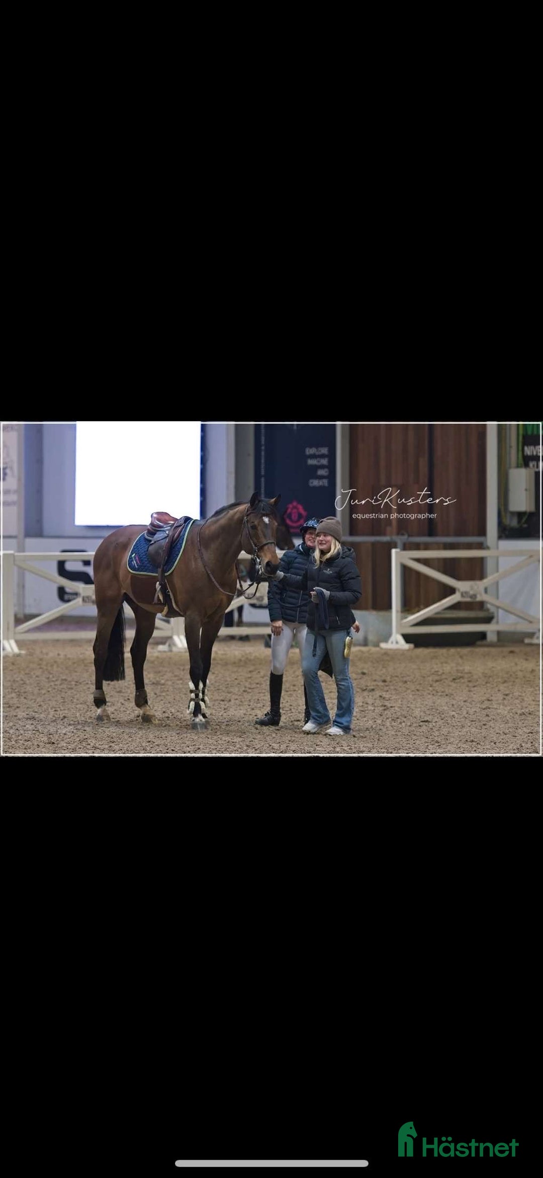 Hoppning hästar sökes: Nystartad verksamhet söker uppdrag - Annons 4