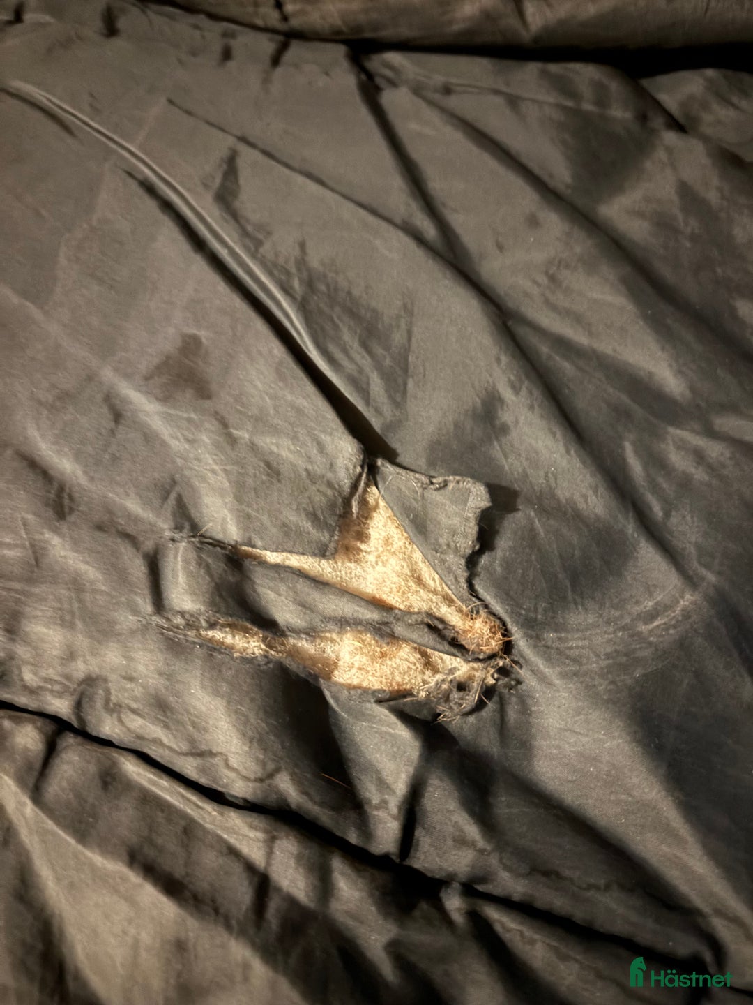 Täcken hästutrustning till salu: Billiga täcken ‼️ i Tyresö - Annons 3