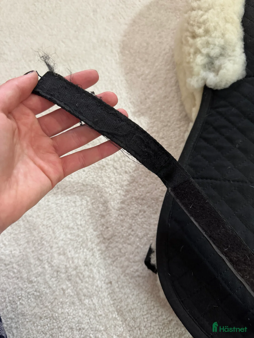 Sadeltillbehör hästutrustning till salu: Protector padd🌼 i Gävle - Annons 7