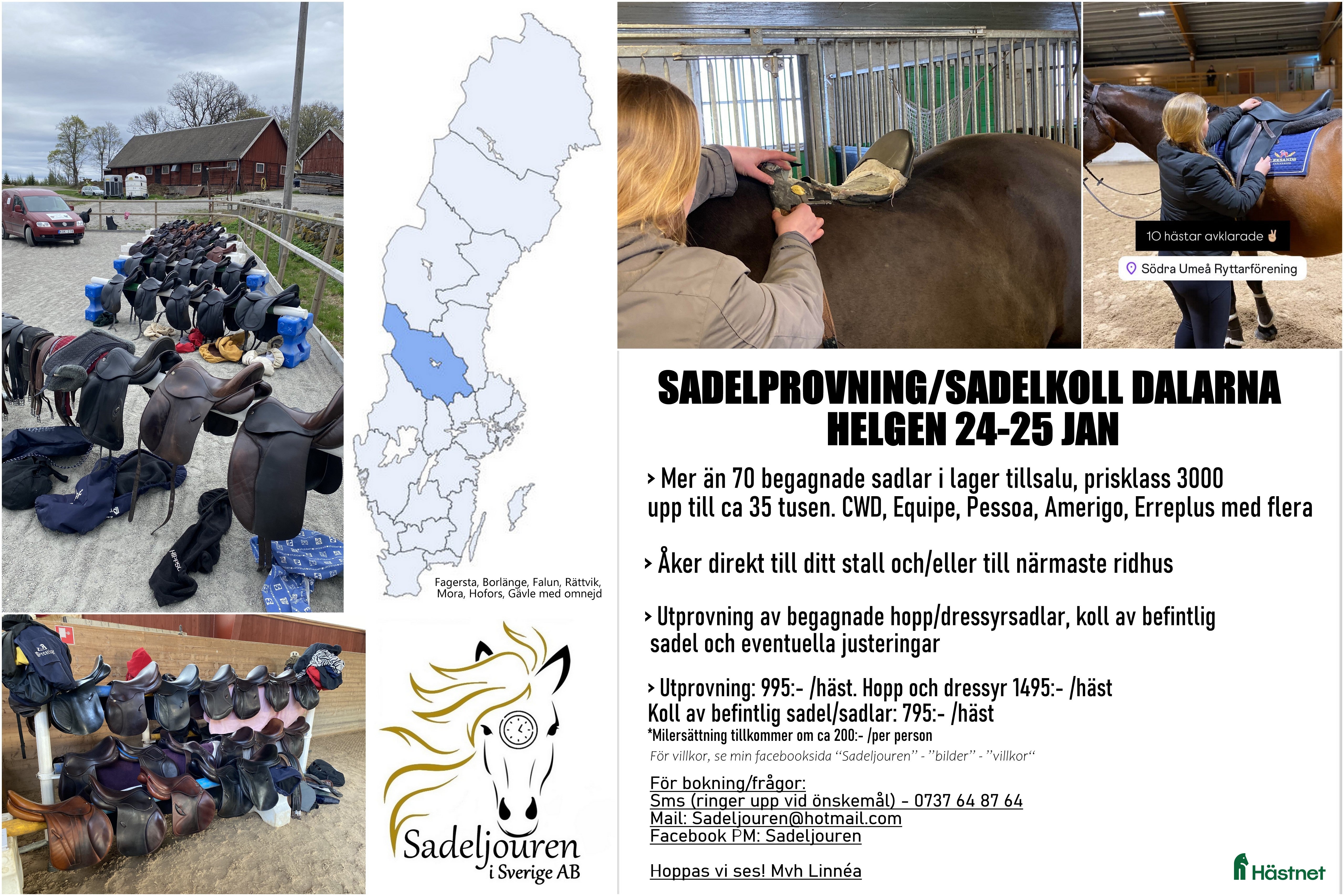 Sadlar hästutrustning till salu: Sadlar 24-25 jan DALARNA i Sundborn - Annons 15