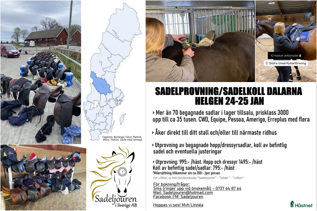 Sadlar hästutrustning till salu: Sadlar 24-25 jan DALARNA i Sundborn - Annons 1