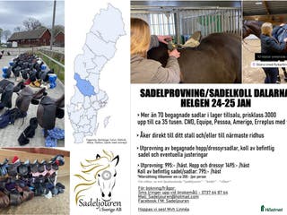 Sadlar hästutrustning till salu: Sadlar 24-25 jan DALARNA i Sundborn - Annons 15