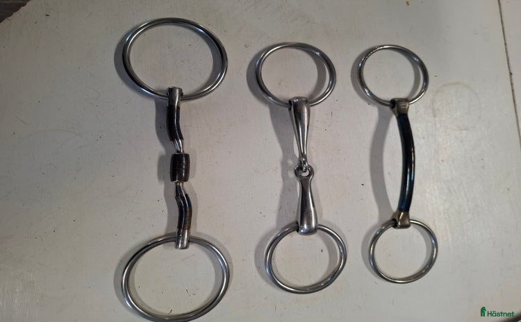 Bett hästutrustning till salu i Märsta - Annons 16