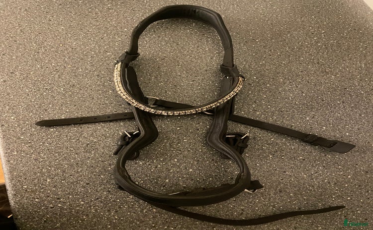 Träns hästutrustning till salu i Örebro - Annons 9