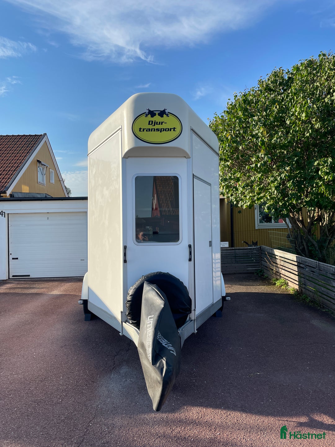 Hästtransporter  fordon & transport till salu: UMESLÄP hästtransport - pedantskött i Täby - Annons 3