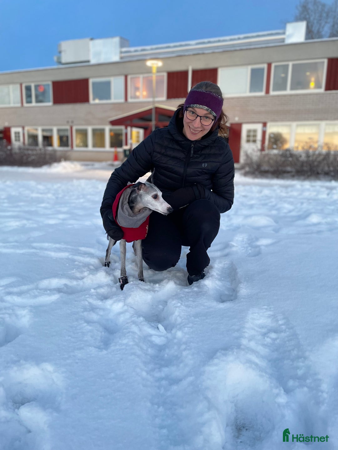  stallplats finnes: SÖKES: Boende och/eller stall-/lösdriftsplats - Annons 2