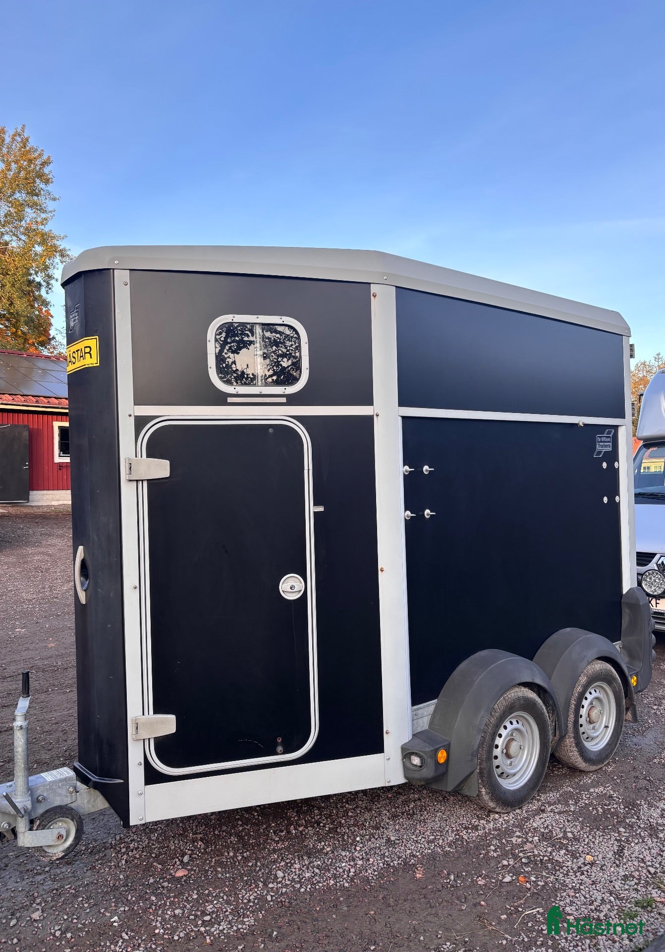 Hästtransporter  fordon & transport till salu: Ifor Williams HB403 (2017) - Annons 1