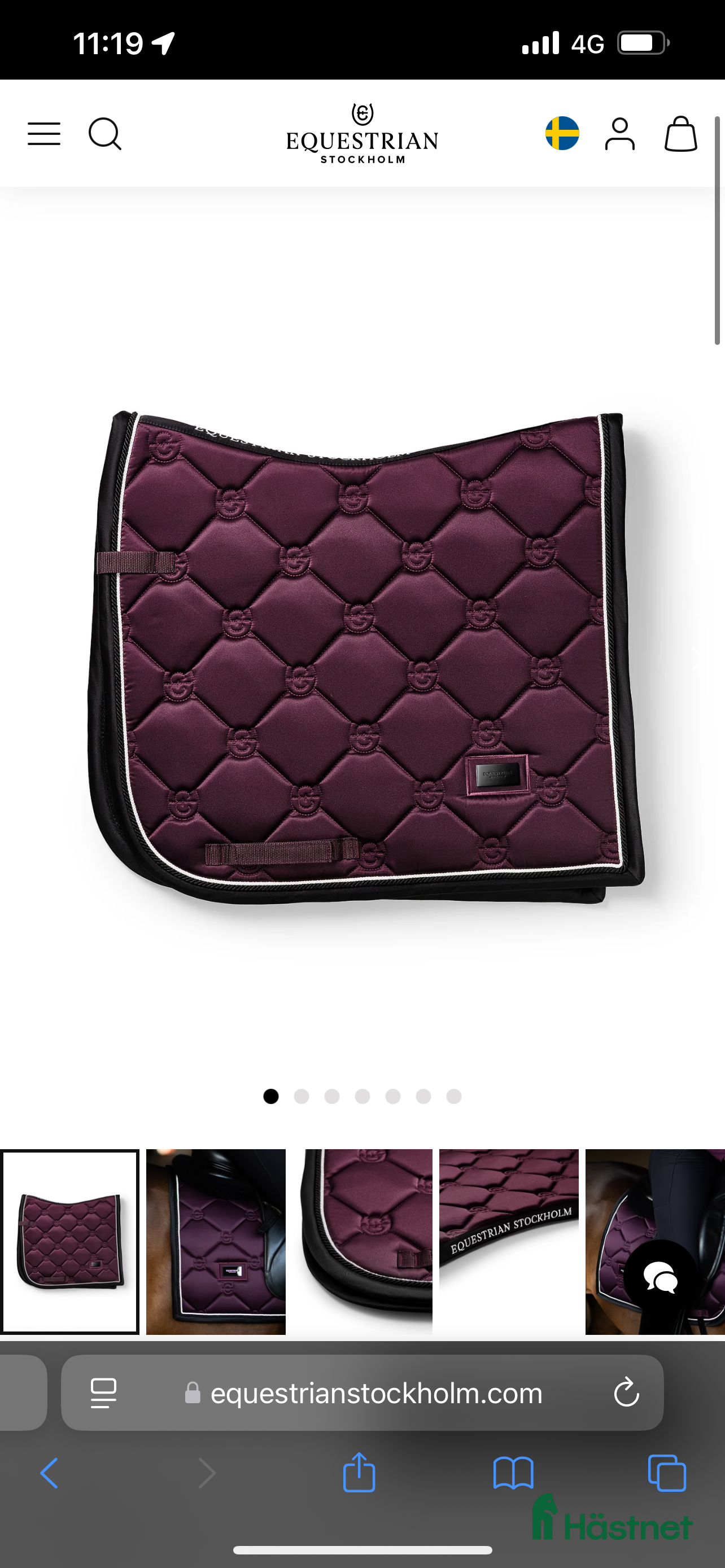 Schabrak & Vojlockar hästutrustning till salu: Kolla beskrivningen! i Henån - Annons 10