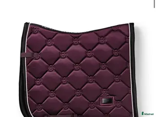 Schabrak & Vojlockar hästutrustning Kolla beskrivningen! i Henån - Annons 13