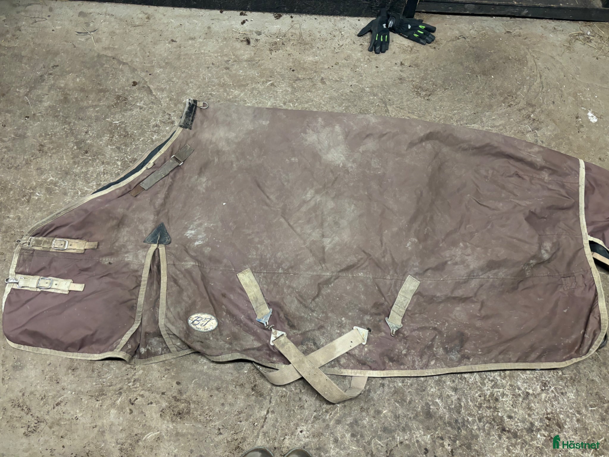 Täcken hästutrustning Vintertäcke  - Annons 2