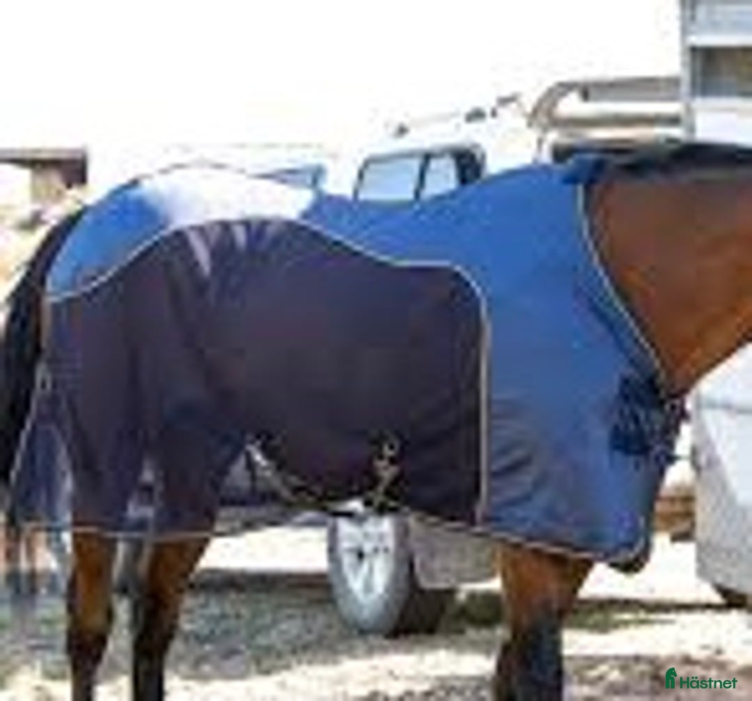 Täcken hästutrustning till salu: Quickdri svettäcke från Tinity i Bromma - Annons 1