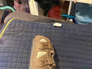 Benskydd hästutrustning till salu: Veredus benskydd fram+bak i Stockholm - Annons 15