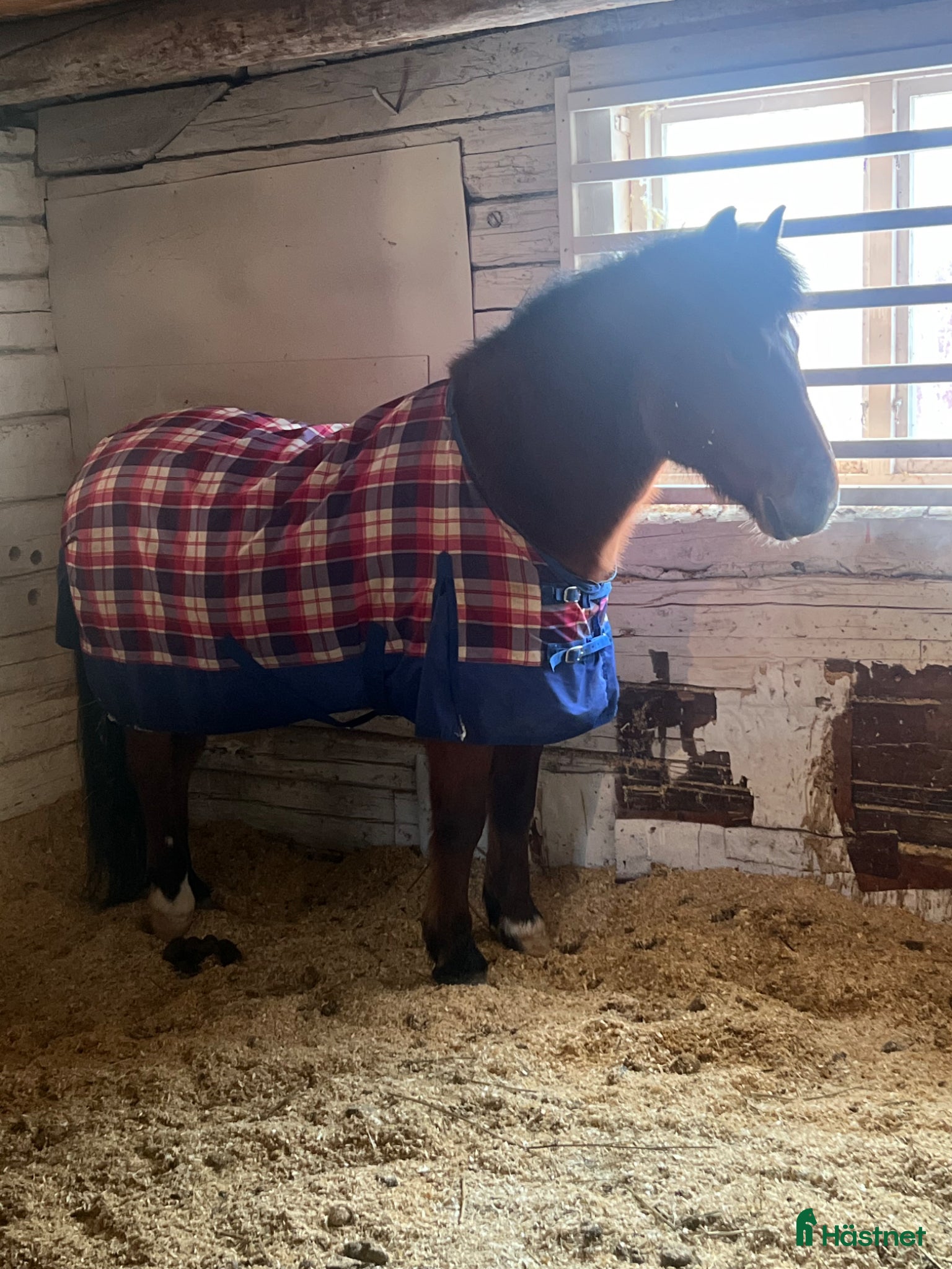  stallplats finnes: Stallplatser 3 st  - Annons 4