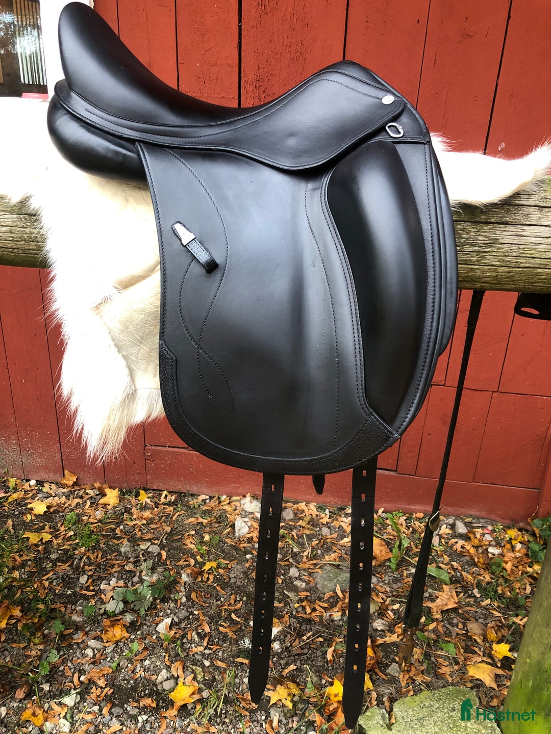 Sadlar hästutrustning till salu: Svart Equipe Olympia i nyskick! - Annons 4
