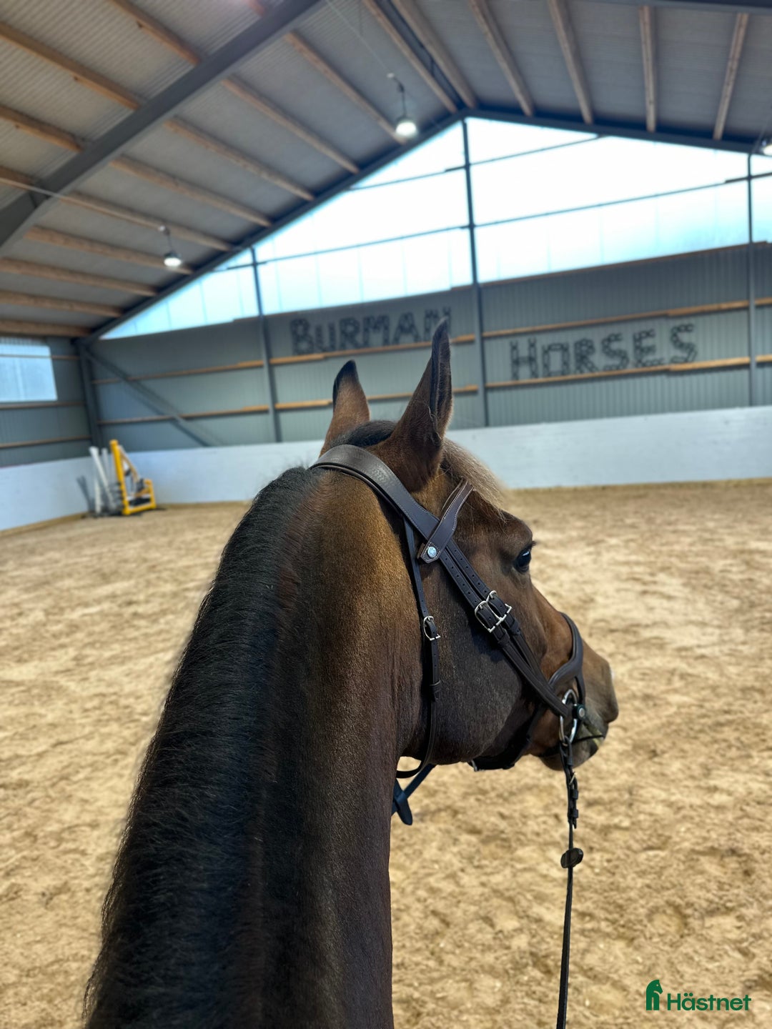 Galleribild {{count}}