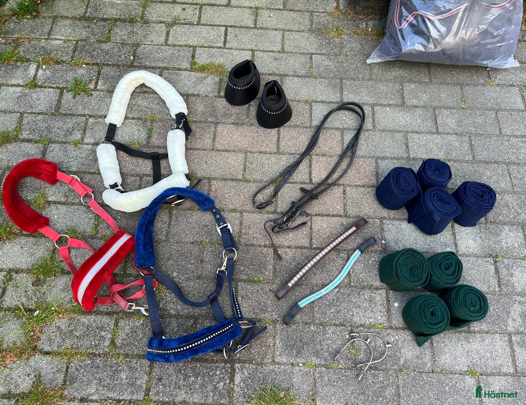 Övrig Hästutrustning hästutrustning till salu: Hästutrustning  - grimma, boots, tyglar mm.  i Hörby - Annons 1