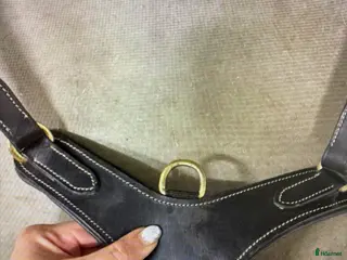 Övrig Hästutrustning hästutrustning till salu: Brösta med martingal i Segeltorp - Annons 1