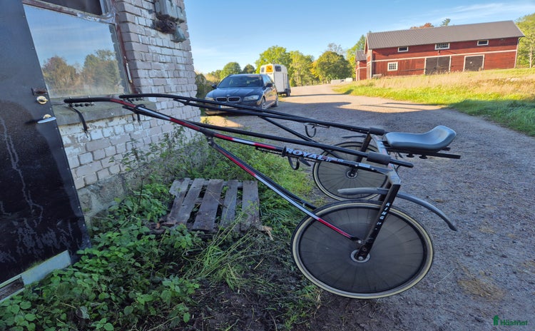 Travsulkys trav till salu i Hallstavik - Annons 16