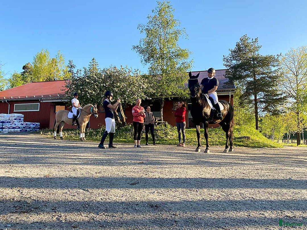  stallplats finnes: Stallplats Tumba| Ridhus, träning & bra kommunalt! i Tumba - Annons 7