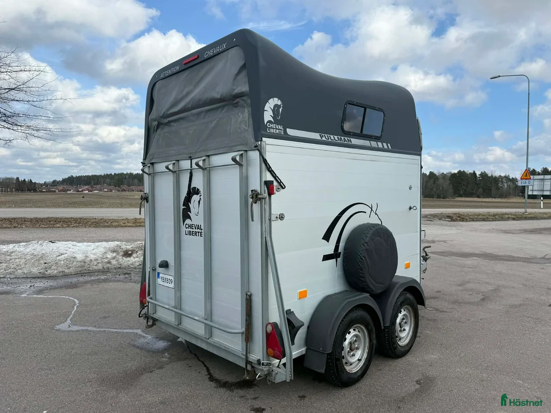 Hästtransporter  fordon & transport till salu: Cheval Liberte Gold Pullman V2 - Annons 2