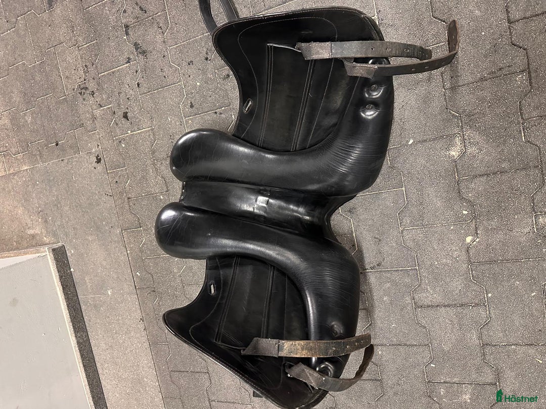 Sadlar hästutrustning till salu: Santa Cruz Platinum Leopold  i Kista - Annons 5