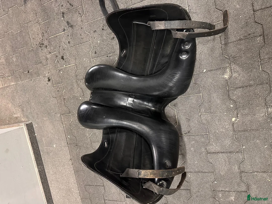 Sadlar hästutrustning till salu: Santa Cruz Platinum Leopold  i Kista - Annons 5