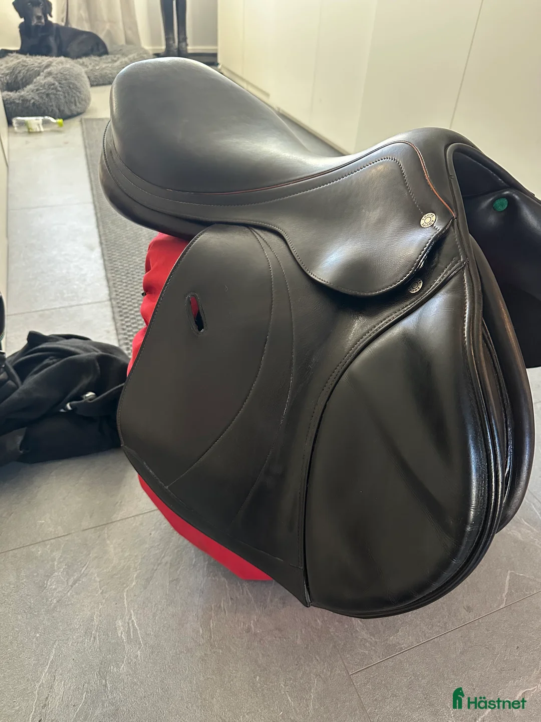 Sadlar hästutrustning till salu: Equipe Expression special - Annons 2