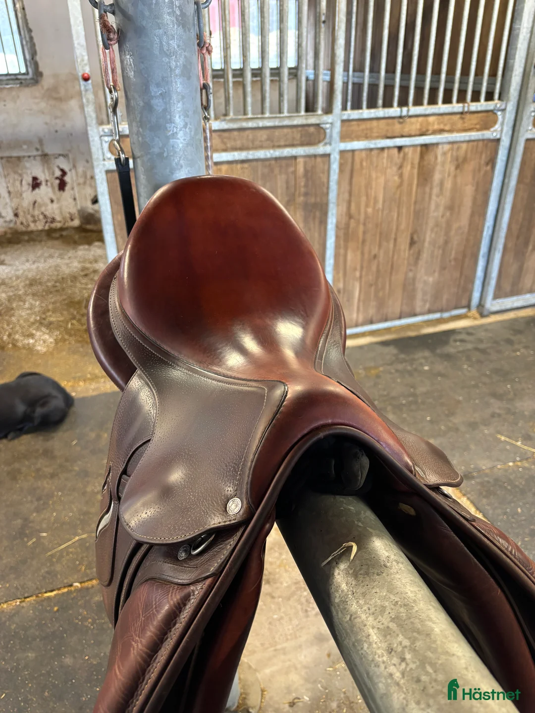 Sadlar hästutrustning till salu: Antares Connexion - Annons 2