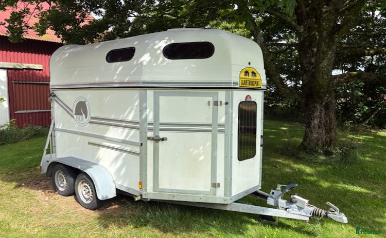 Hästtransporter  fordon & transport till salu i Ugglarp - Annons 6