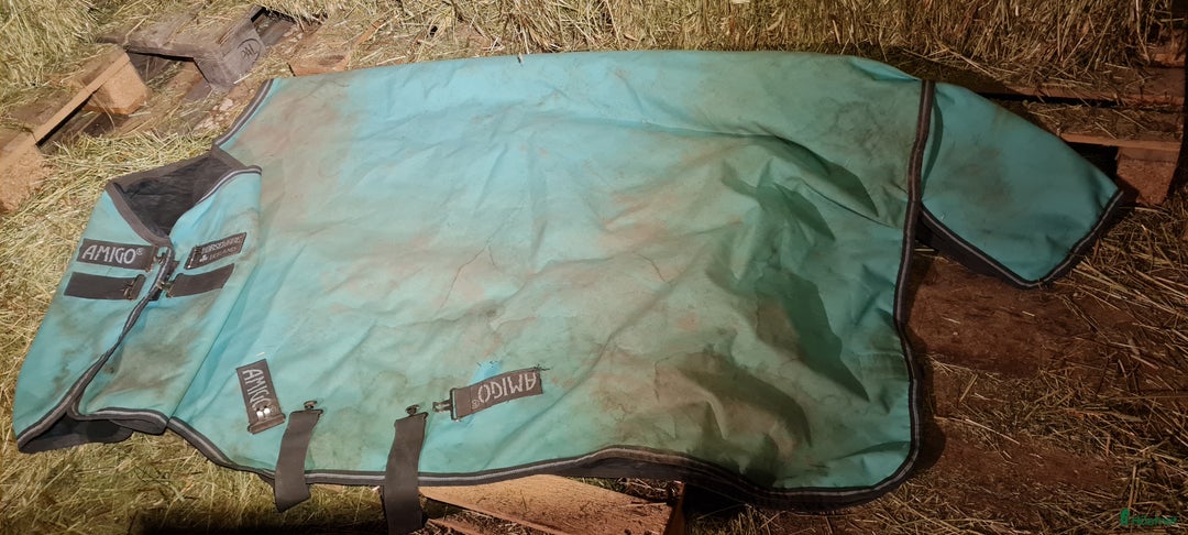 Täcken hästutrustning till salu: Täcken strlk 145 o 130 i Mörsil - Annons 5