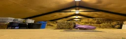  stallplats finnes: Hela stallet & Cottage Rent– Run Your Own Business - Annons 18