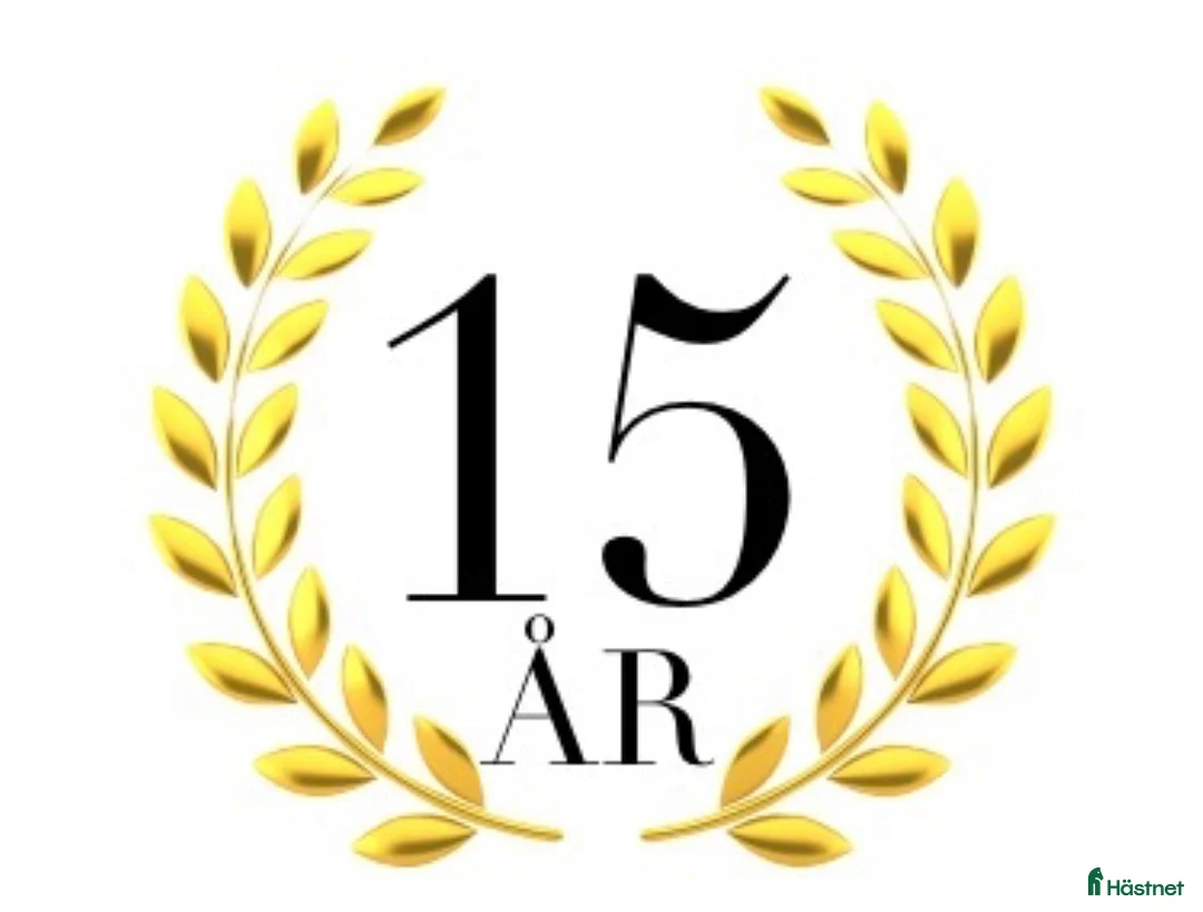 Hästtransporter  fordon & transport till salu: Årets deal! Böckmann Champion Esprit NY! i Ytterby - Annons 6