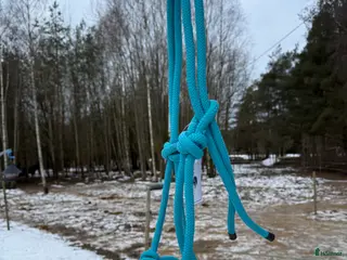 Övrig Hästutrustning hästutrustning Turkos kraftigare repgrimma i Visby - Annons 18