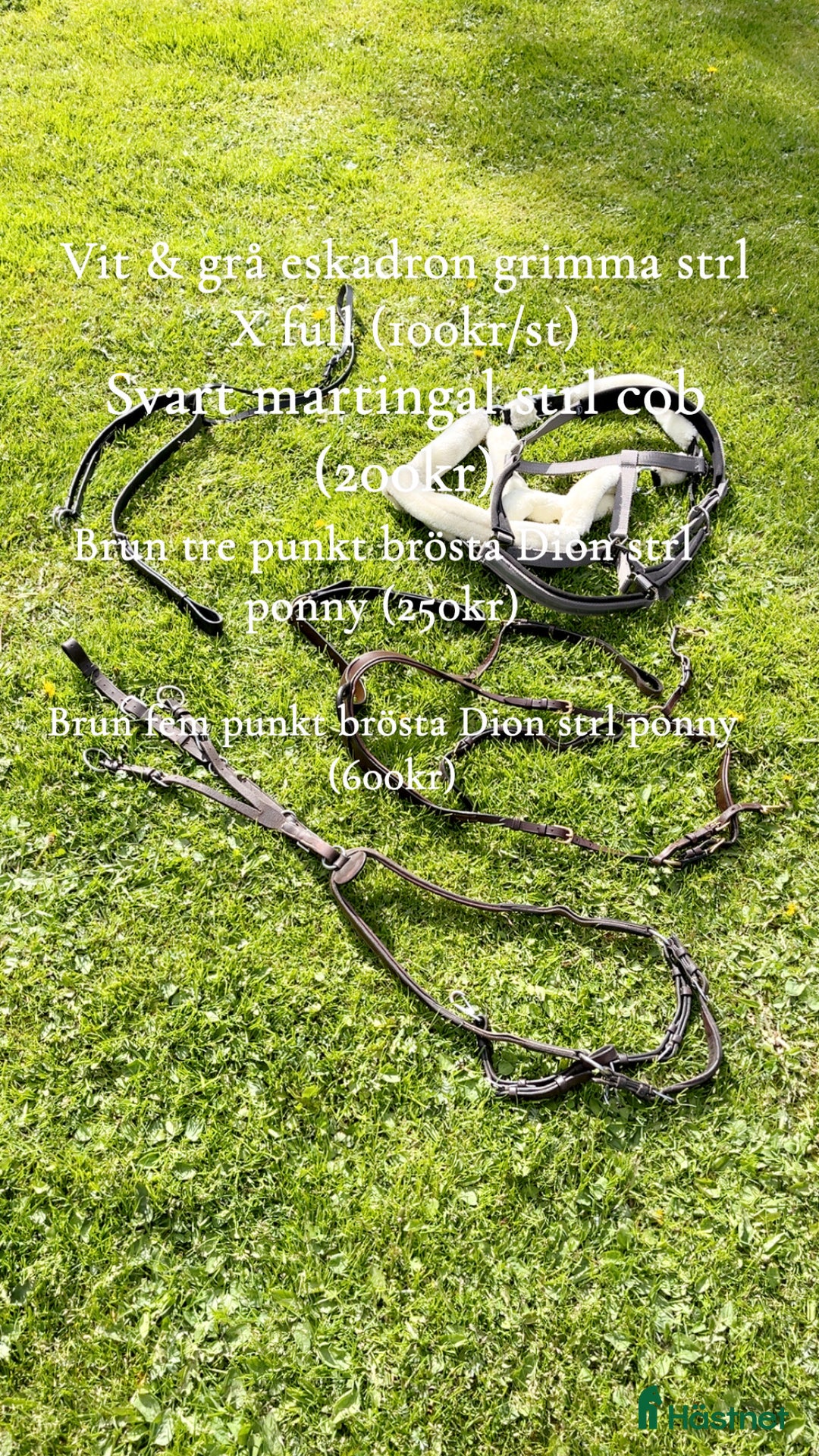 Täcken hästutrustning till salu: Amigo, Rambo, back on track & Dion i Alunda - Annons 7