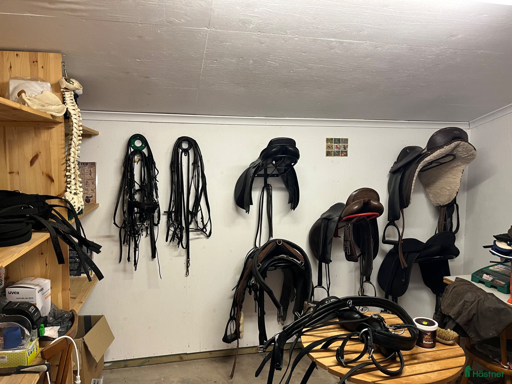 Sadeltillbehör hästutrustning Hjälp mig tömma sadelkammaren ! - Annons 1