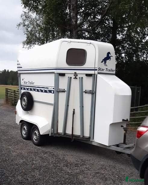 Hästtransporter  fordon & transport till salu: Fronturlastat släp 2000 - Annons 3