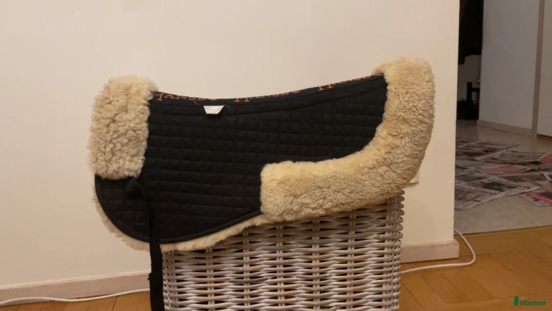 Täcken hästutrustning till salu: Stort parti hästsaker och 2 hjälmar i Borås - Annons 4