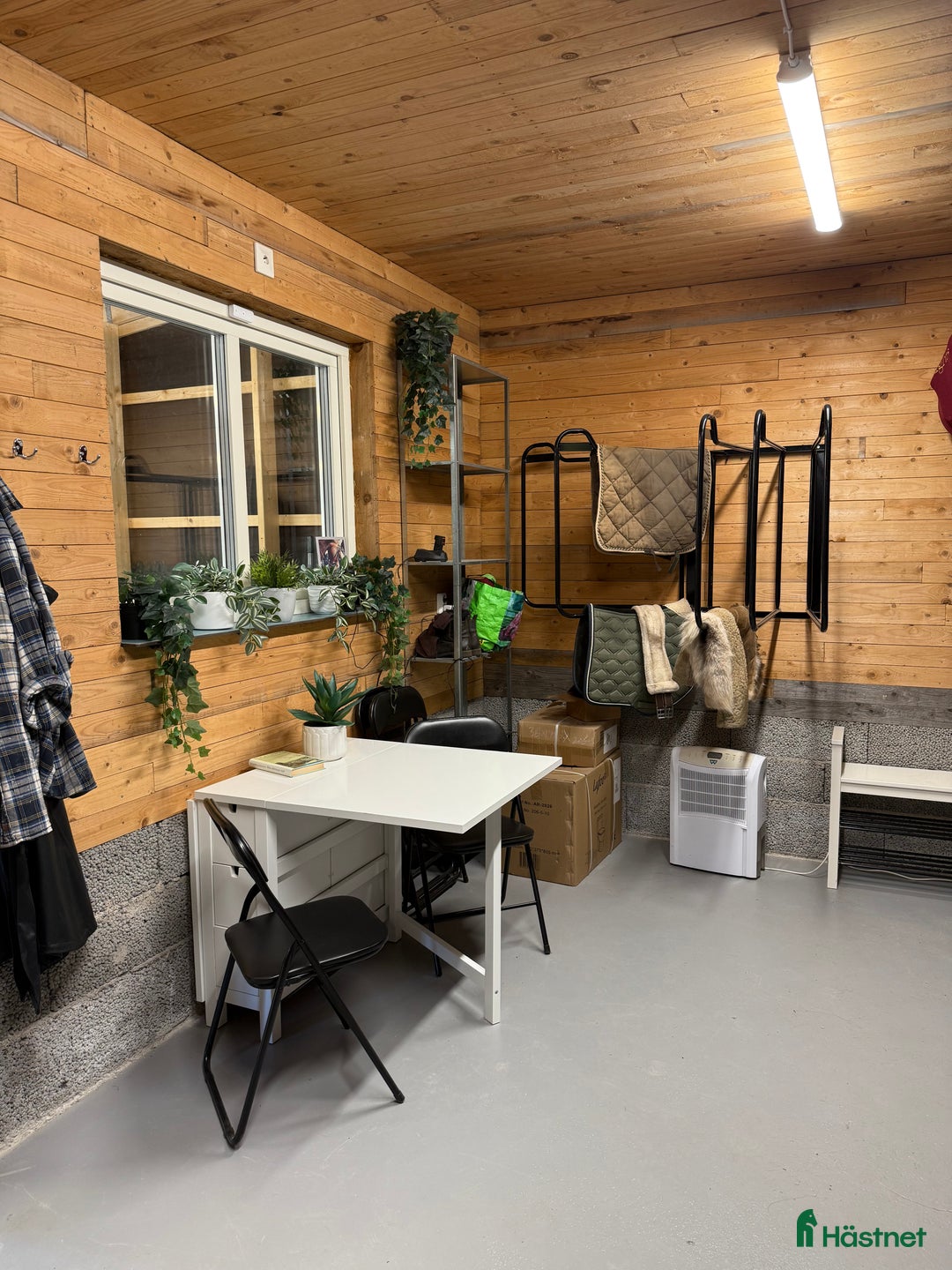  stallplats finnes: Granetorps Framtid 🥰 - lösdrift för islandshästar i Tyringe - Annons 17